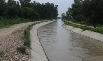 महाकाली सिँचाइ तेस्रो चरणबाट साढे ६ सय हेक्टर सिँचाइ हुने